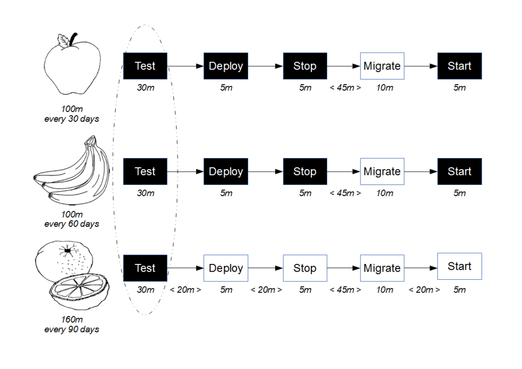 Support test framework